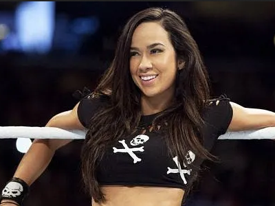 AJ Lee issues first comments following her WWE comeback match at Wrestlepalooza