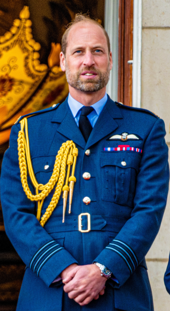 Prince William in military uniform