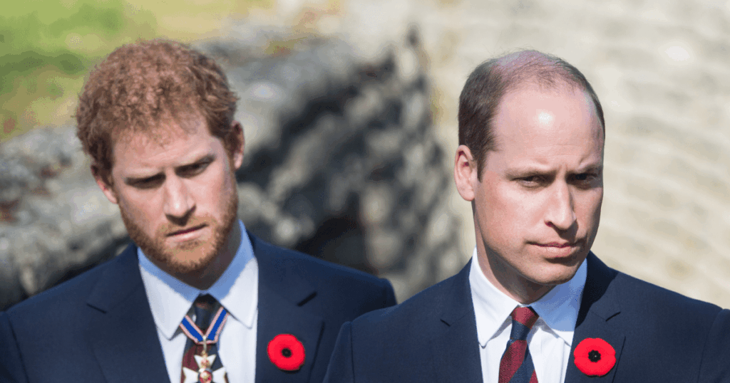 Prince William ‘Outraged’ Over Prince Harry’s Career Move Involving Princess Diana, Says Source Prince William 'Outraged' Over Prince Harry's Career Move Involving Princess Diana, Says Source