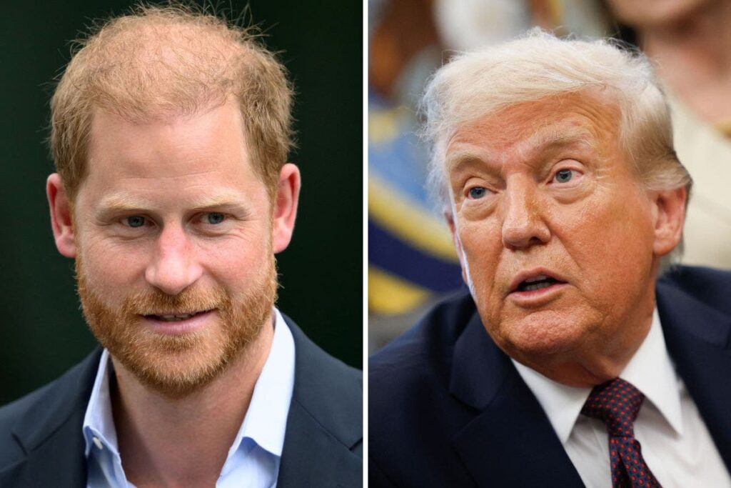 Prince Harry’s Latest Plea Has Donald Trump as Its Backdrop Jack Royston