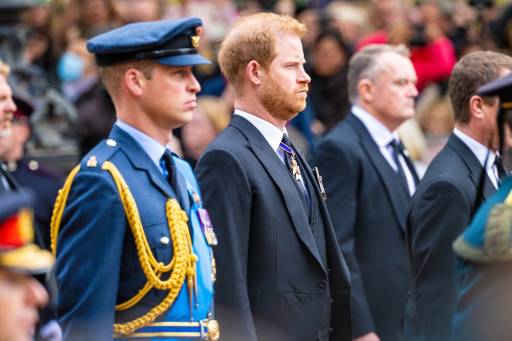Prince William and Prince Harry at Queen Elizabeth II's funeral