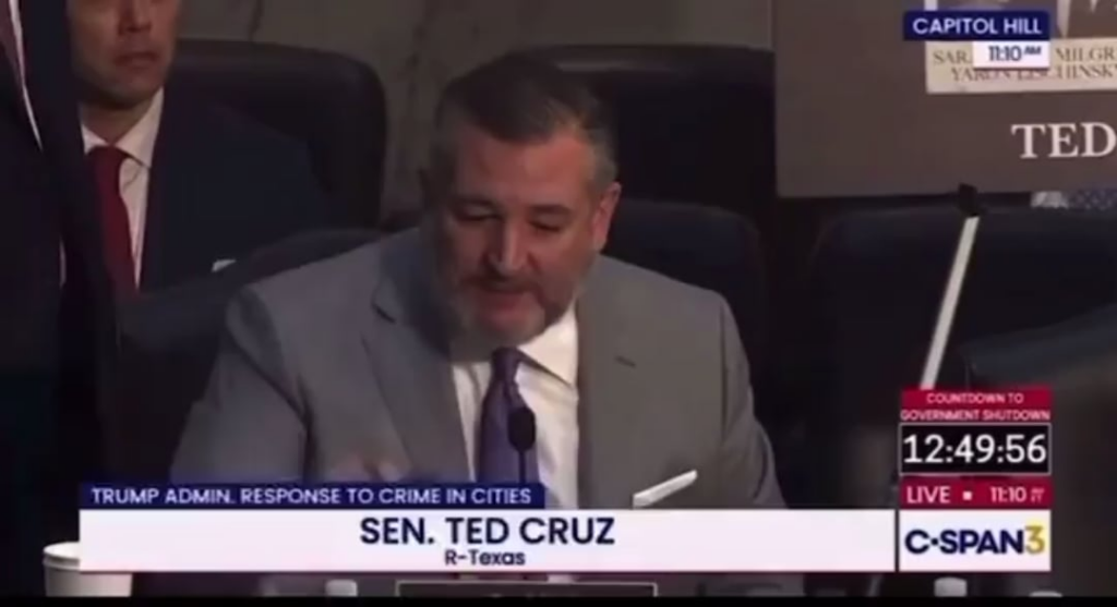 Sen. Ted Cruz: “How about we all come together and say let's stop attacking pedophiles?"