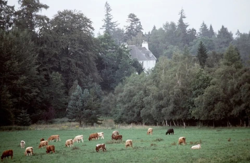 Balmoral 