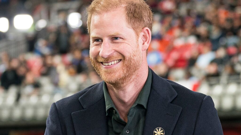 Prince Harry says he 'could imagine' working at magical U.S. destination