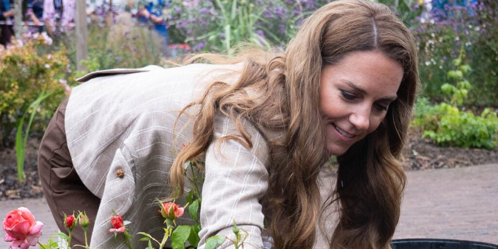7 'must have' plants to bag now for Autumn