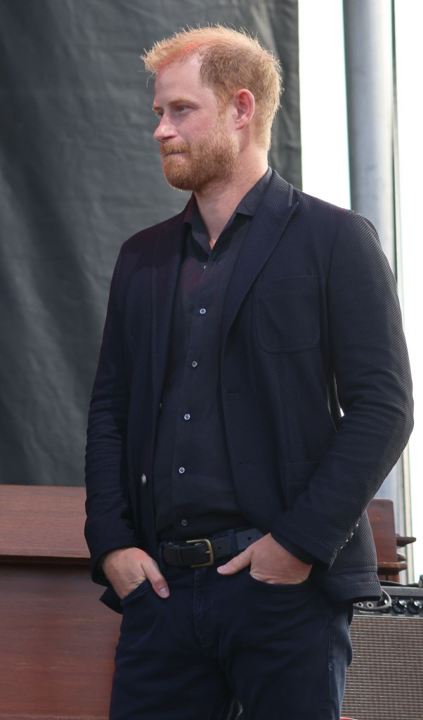 Prince Harry at One805 concert