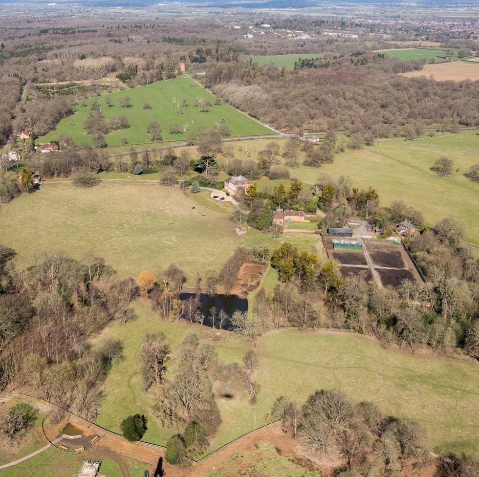 park around forest lodge, windsor great park, berkshire, park around forest lodge, windsor great park, berkshire, 2018.