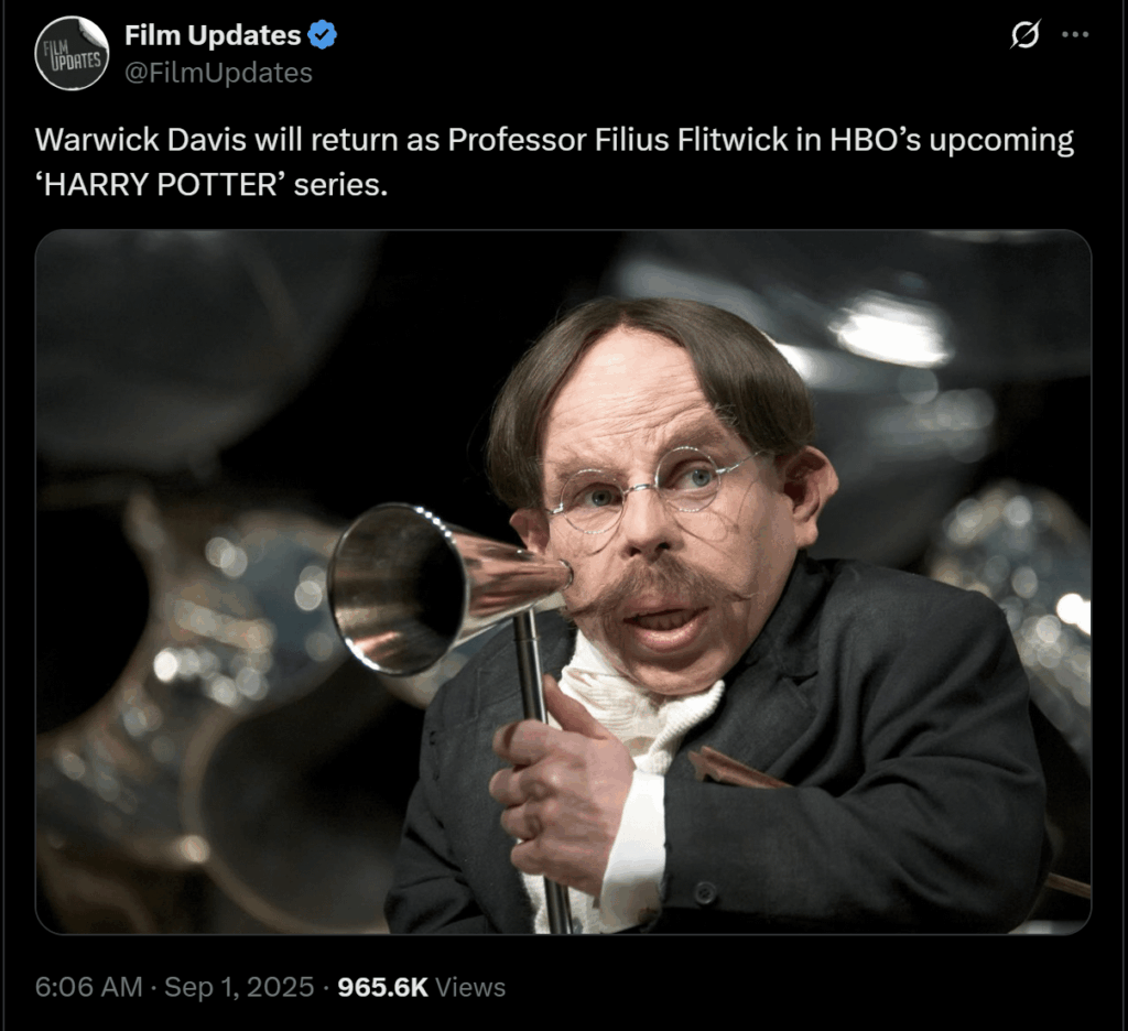 what is the point of the new harry potter show if they're now just casting the same actors to play the same characters...?