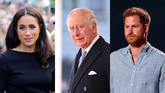 Are Prince Harry & Meghan Markle Working Royals Again?