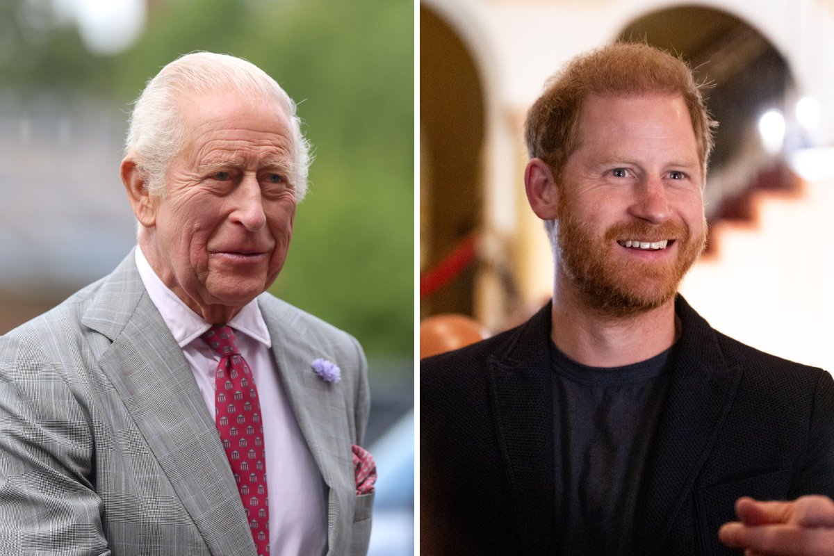 King Charles and Prince Harry
