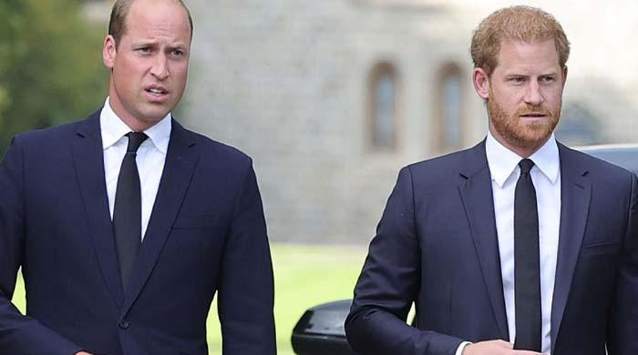 Prince Harry to go down a path Prince William firmly close 10 years ago: ‘It'll antagonize!'