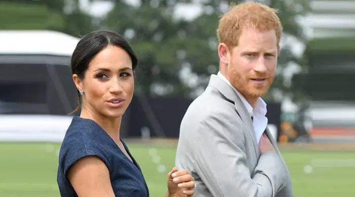 Prince Harry spills his and Meghan Markle's Netflix watch list
