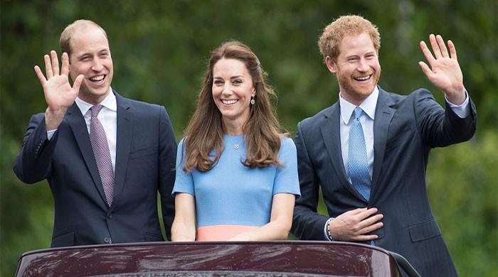 Kate Middleton seen as key to Prince Harry's reconciliation with King Charles, William