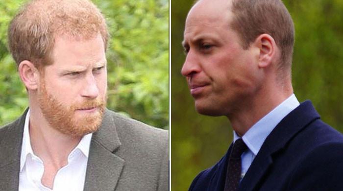 Prince William's hard line for Prince Harry as family comes into harm: ‘They are above all'