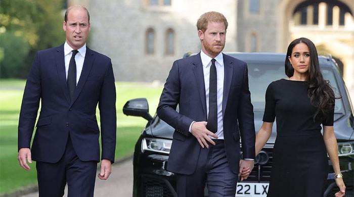 Prince William leaves Meghan Markle, Harry 'furious'
