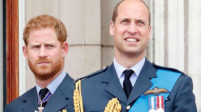 Prince Harry hopeful of working relationship with 'deeply hurt' William
