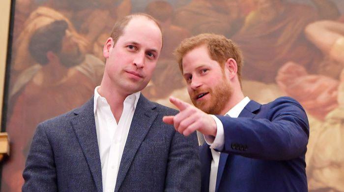 Prince Harry reflects on sweet memory from childhood with William