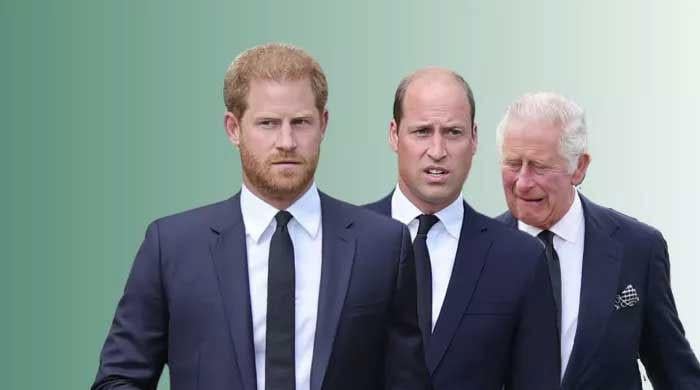 King Charles' desperate efforts for Prince William, Harry come to light