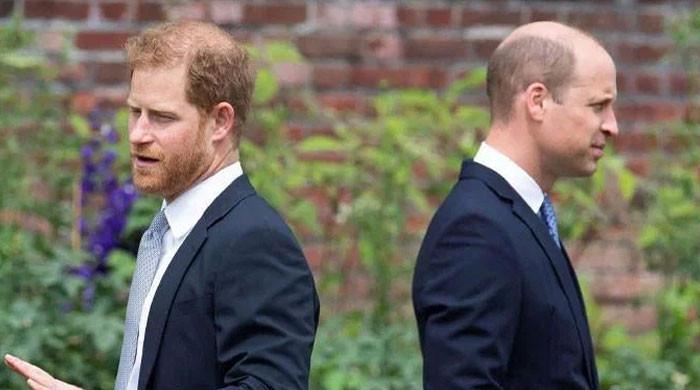 Prince Harry's UK trip seen as attempt to unsettle Prince William's role
