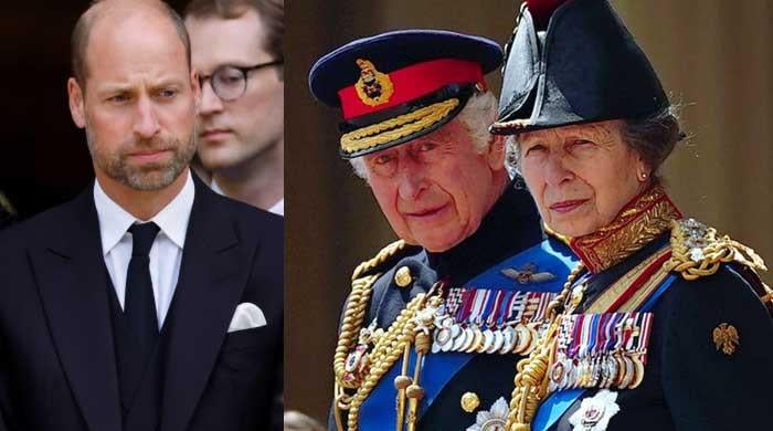 Princess Anne's unveiling of King Charles portrait casts spotlight on William