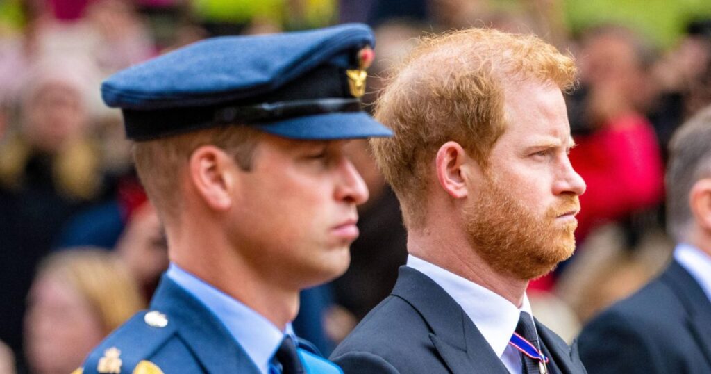 Prince William Calls Prince Harry, King Charles Reunion A Bad Idea | Gallery