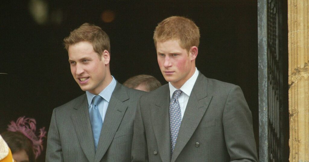 Prince William & Prince Harry's Relationship Soured Before Feud | Gallery