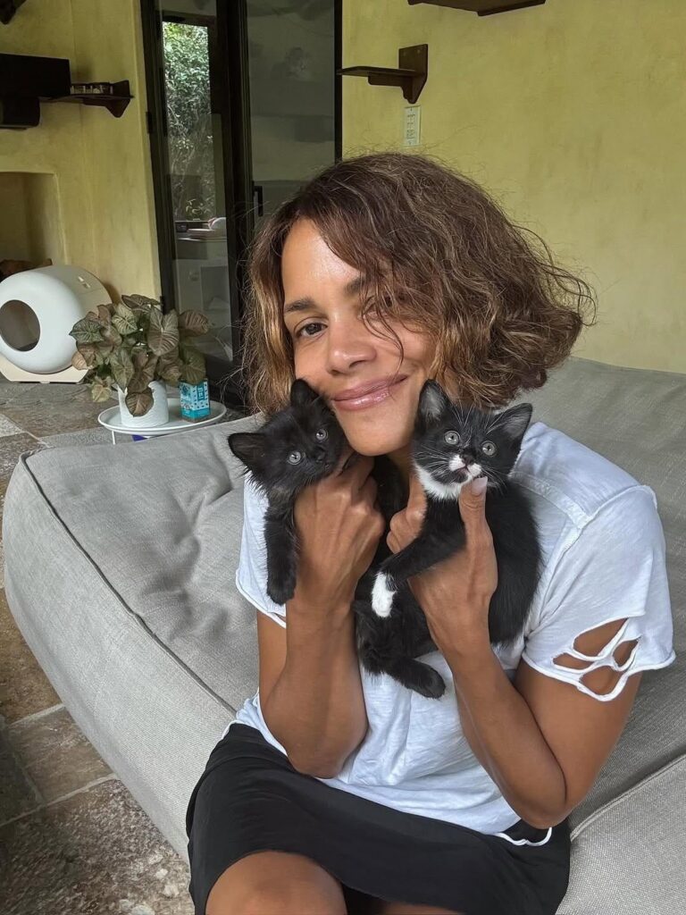 Halle Berry rescued a mom cat and her three kittens after they showed up in her yard this weekend
