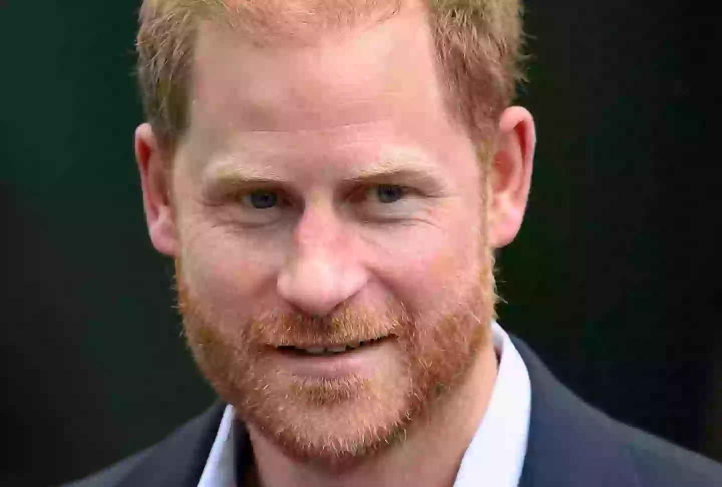 Harry said his father was 'great' when asked about the meeting (Karwai Tang / Contributor / Getty Images)