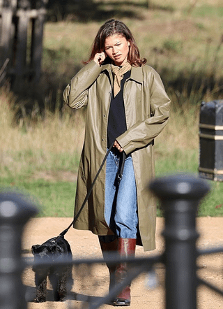 Zendaya seen walking her dog Noon in London yesterday