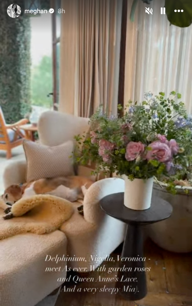 meghan markle living room