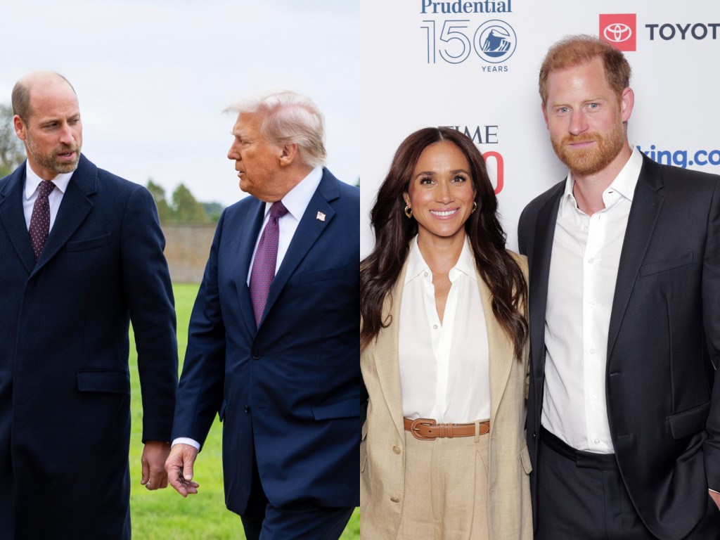 Did Trump Shade Prince Harry & Meghan Markle During UK Visit? Did Trump Shade Prince Harry & Meghan Markle During UK Visit?