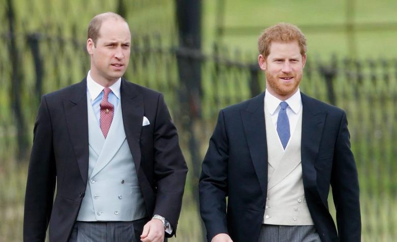 After the Clarence House Meeting: Harry Moves Towards the King and Hits a Wall with William