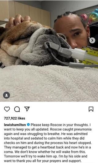 Lewis Hamilton gives an update on Roscoe's Health