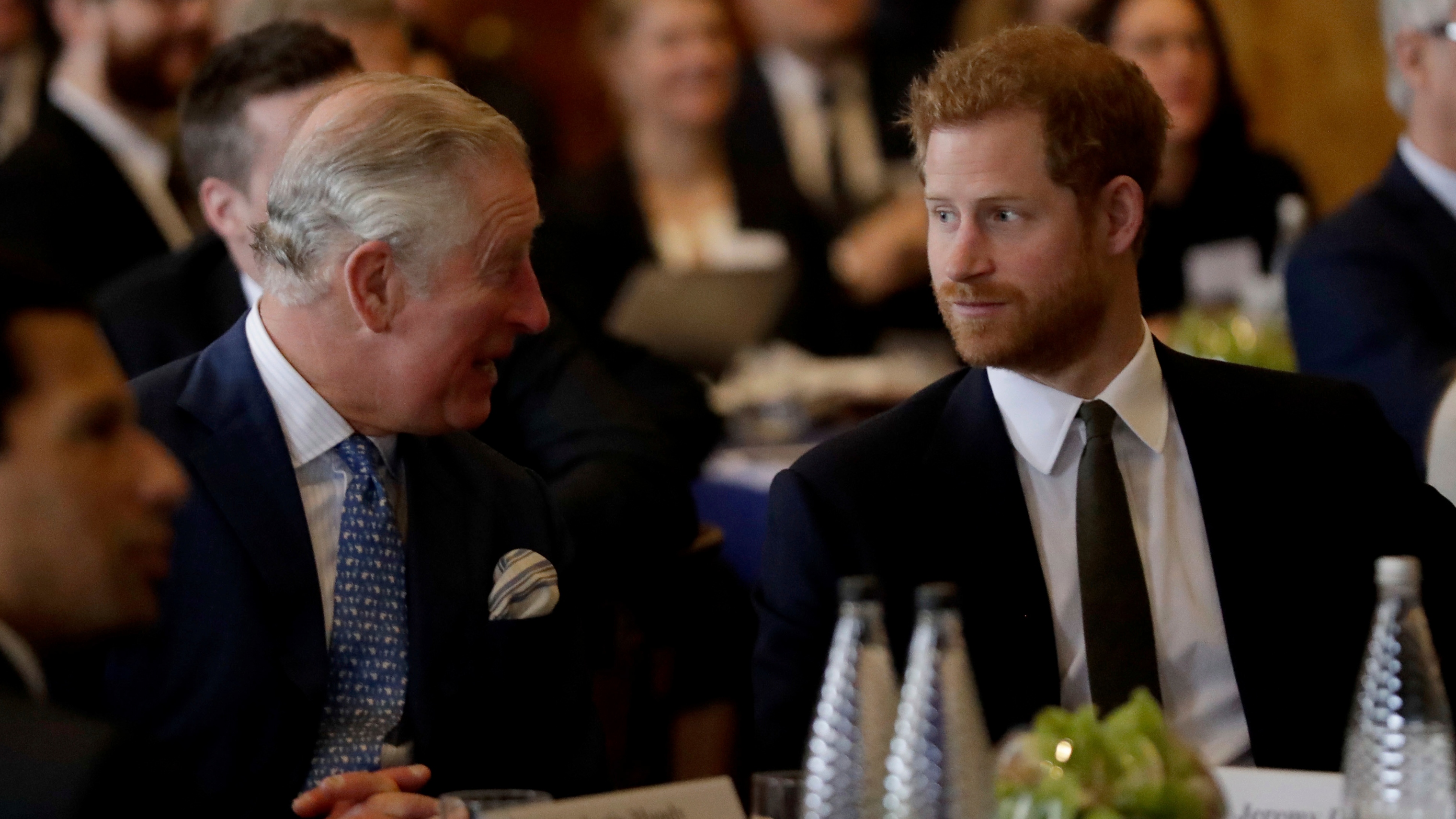 Prince Harry and King Charles attend the 'International Year of The Reef' 2018 meeting