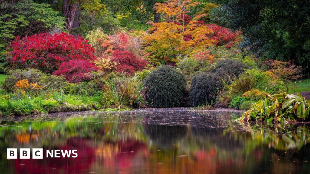Dense woodland trees in bright autumn colours, reds, greens, orange and yellows reflecting in water.