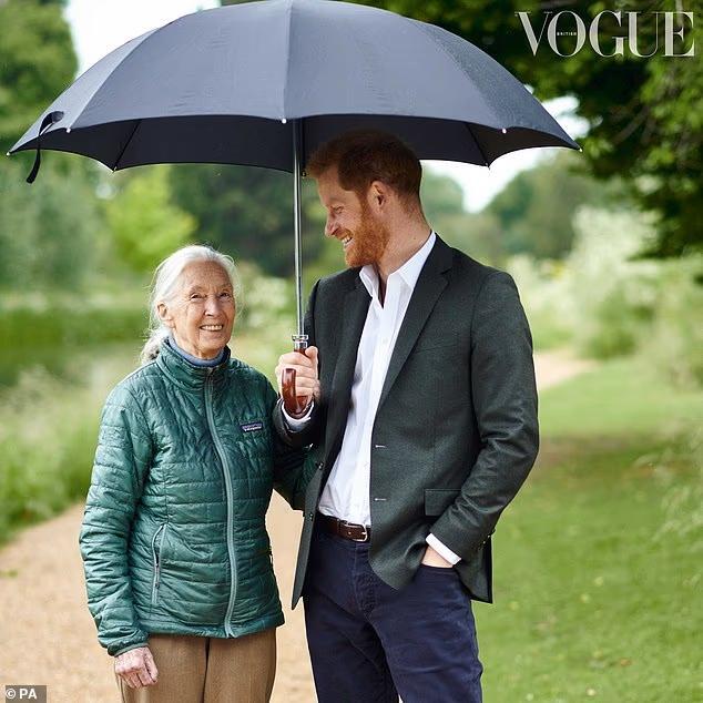 Prince Harry's cutting response to late Jane Goodall after Meghan Markle introduced Prince Archie