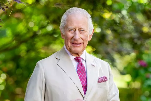 A new portrait of King Charles has been released
