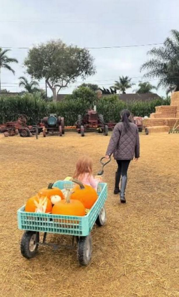 Meghan wheeling her daughter with the pumpkins in a cart