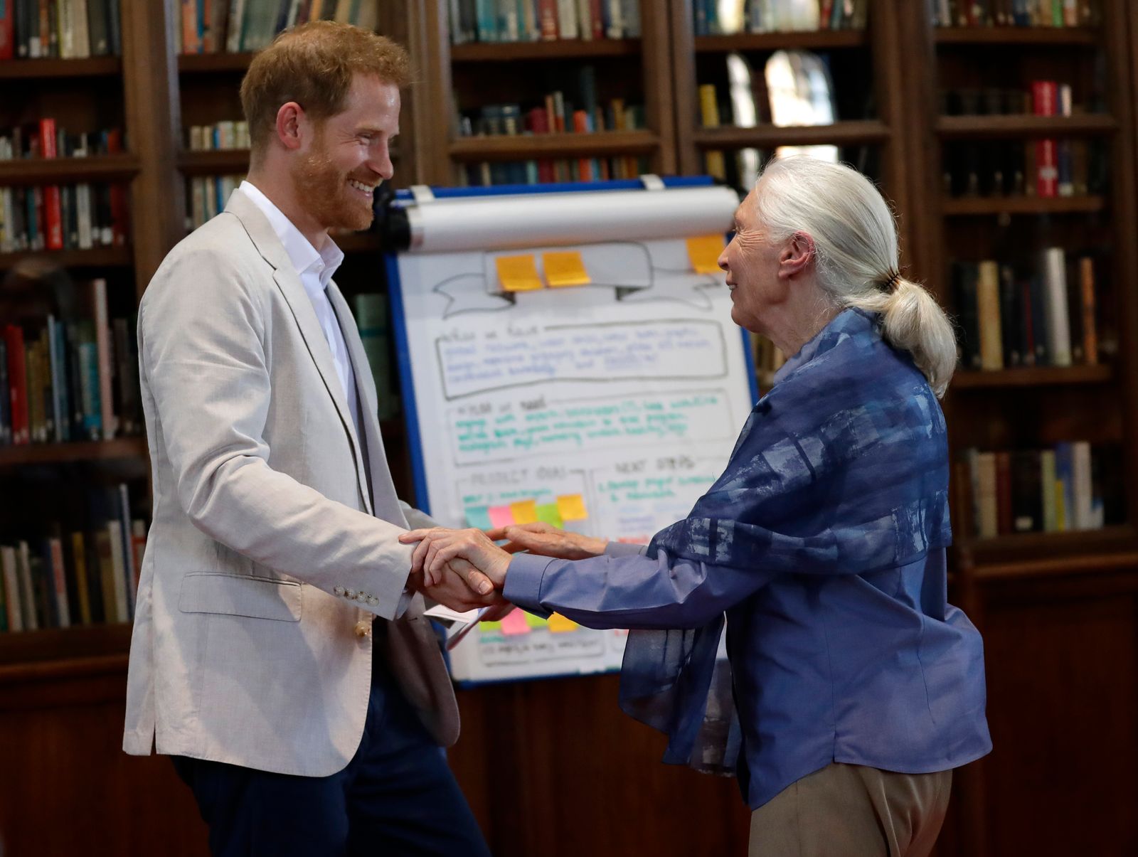 Prince Harry and Prince William have led tributes to legendary conversationist Jane Goodall