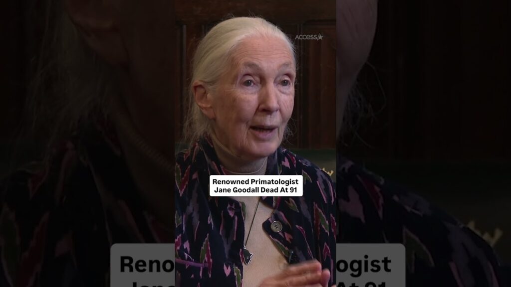 Renowned Primatologist Jane Goodall Dead At 91