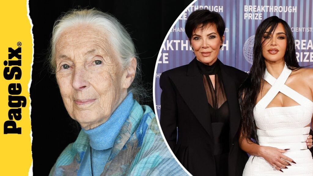 Jane Goodall speaks about chimpanzees & Kim Kardashian, Kris Jenner sue Ray J | Page Six Headlines Jane Goodall speaks about chimpanzees & Kim Kardashian, Kris Jenner sue Ray J | Page Six Headlines
