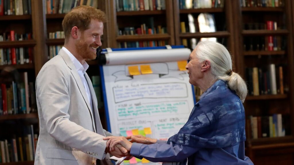Prince William and Prince Harry lead tributes to Dr Jane Goodall following the death of the legendary conservationist at 91