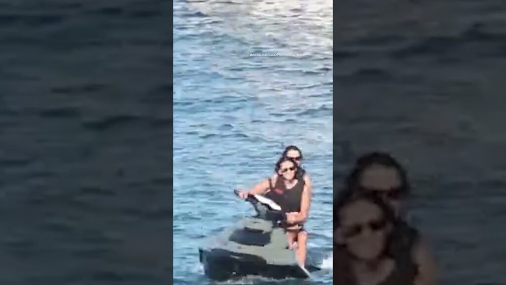 Newly single Nina Dobrev gets flirty with Zac Efron one week after Shaun White split