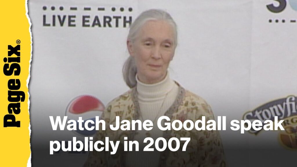 Lookback: Jane Goodall speaks about chimpanzees and the future of environmental advocacy in 2007 Lookback: Jane Goodall speaks about chimpanzees and the future of environmental advocacy in 2007