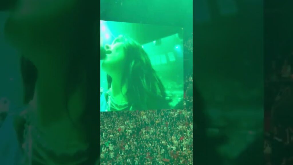 Billie Eilish violently dragged to the ground by crazed fan during Miami concert #shorts