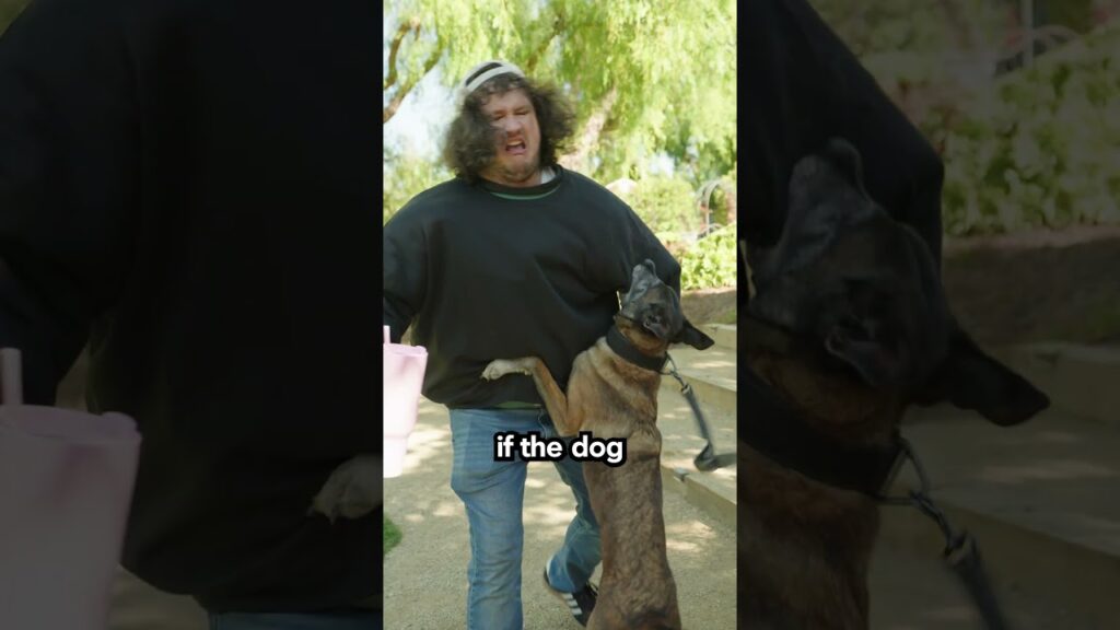 How To Survive A Dog Bite