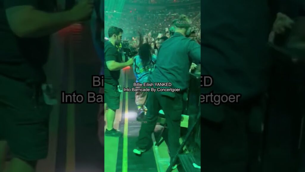 Billie Eilish Gets DRAGGED By Fan At Concert Billie Eilish Gets DRAGGED By Fan At Concert