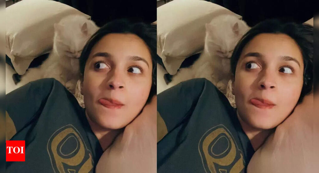 When pregnant Alia Bhatt spent Diwali in bed with pet cat Edward, just days before daughter Raha’s birth | Hindi Movie News When pregnant Alia Bhatt spent Diwali in bed with pet cat Edward, just days before daughter Raha’s birth | Hindi Movie News