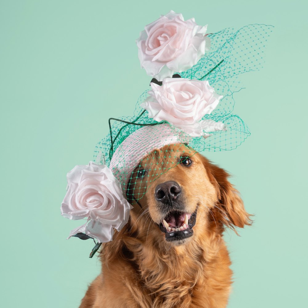 Royal Milliner Who Designed Kate Middleton and Meghan Markle Hats Releases 2026 Haute Dogs Calendar to Help Shelter Pets