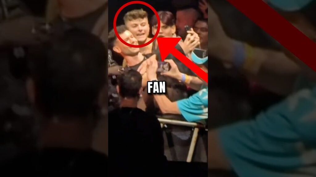 A Fan Yelled at Dua Lipa